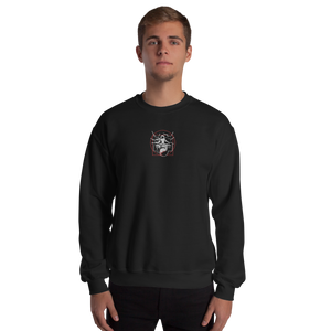 Symmetrical Drumming V24 - Embroidered Unisex Sweatshirt