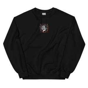 Symmetrical Drumming V24 - Embroidered Unisex Sweatshirt